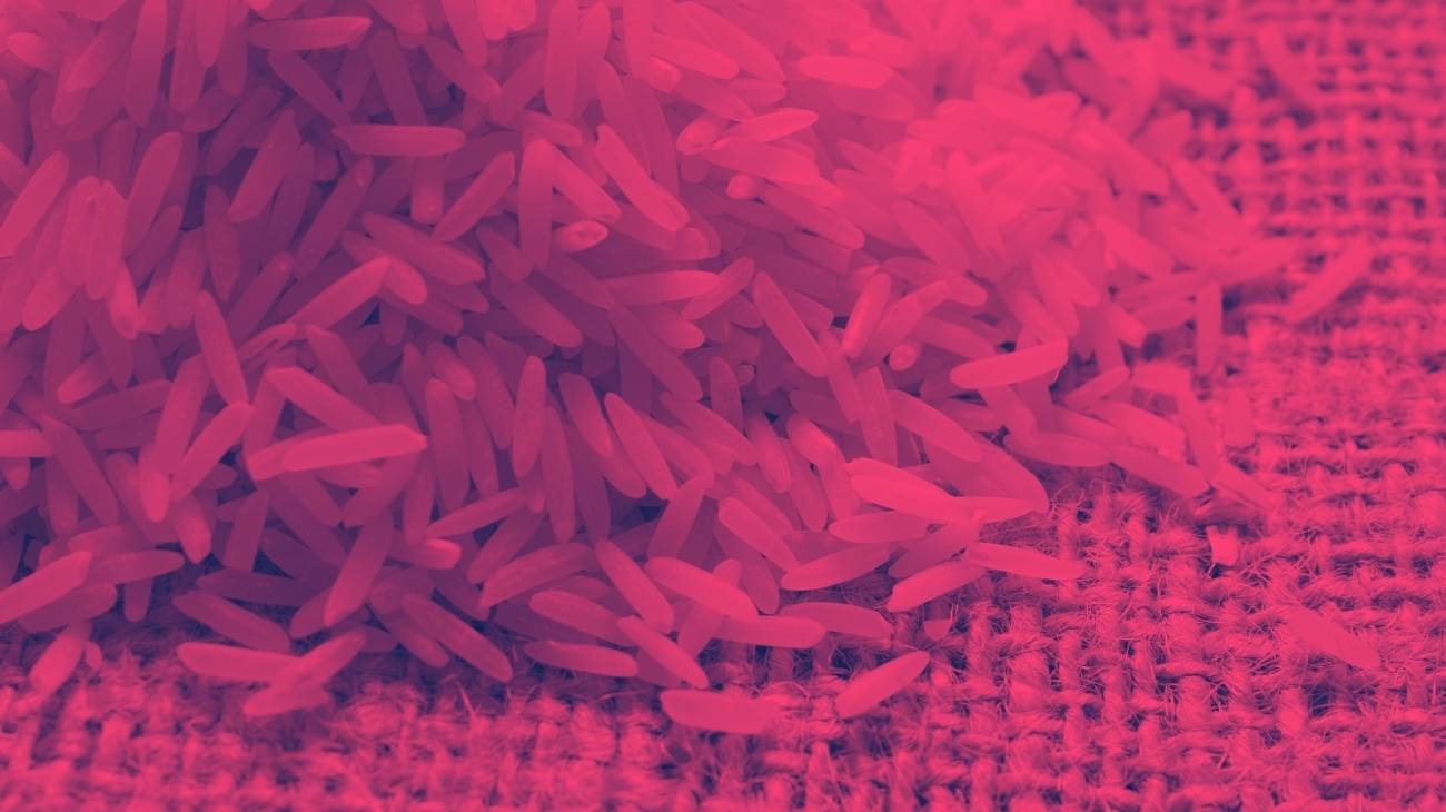 Los mejores sacos térmicos para microondas rellenos con arroz - Guía de Compra
